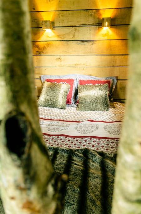 La Cabane Du Cerf Et Son Sauna Attre Ngoại thất bức ảnh